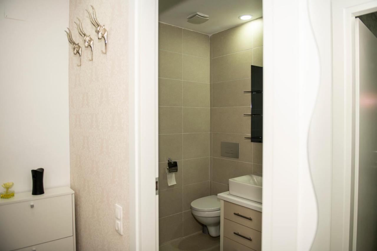 Raphael Apartment North Bucharest Cosmopolis Stefanestii de Jos Exterior foto